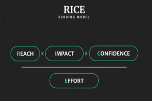 اولویت بندی پروژه با RICE